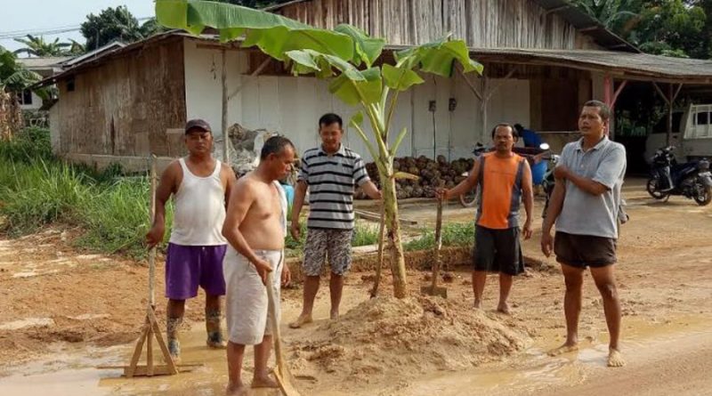 Warga Desa Sebong Pereh protes jalan rusak dengan menenam pisang, akankah dana desa bisa membantu?