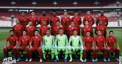 timnas indonesia ppd 2020