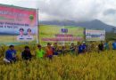 Lingga Berpartisipasi Dalam Program Panen Padi Nusantara 1 Juta Hektare