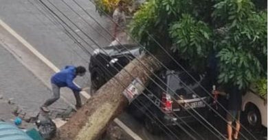 mobil tertimpa pohon tumbang di jalan engku putri