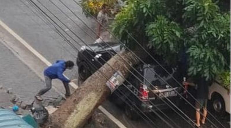 mobil tertimpa pohon tumbang di jalan engku putri