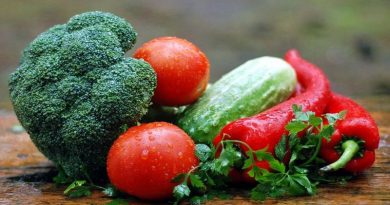 sayuran untuk kesehatan tubuh manusia 75gfg