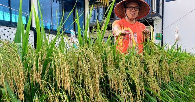 Kementerian Pertanian Puji Keberhasilan Ady Tanam Padi di Tanjungpinang
