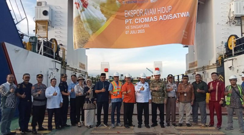 ekspor perdana ayam hidup dari indonesia ke singapura 98